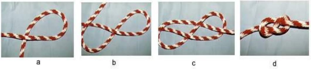 8자 매듭 (Figure-8 knot)