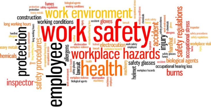 MEANING OF THE TERMS safety