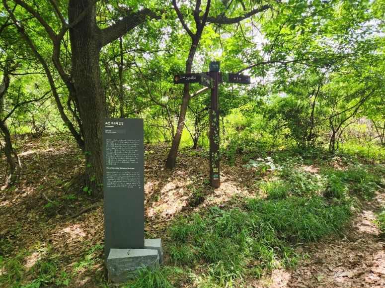 한북정맥 노고산