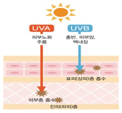 자외선 차단제