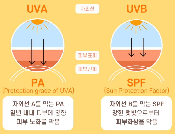 자외선 차단