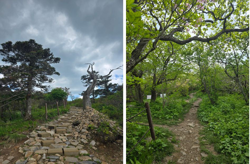 Taebaeksan