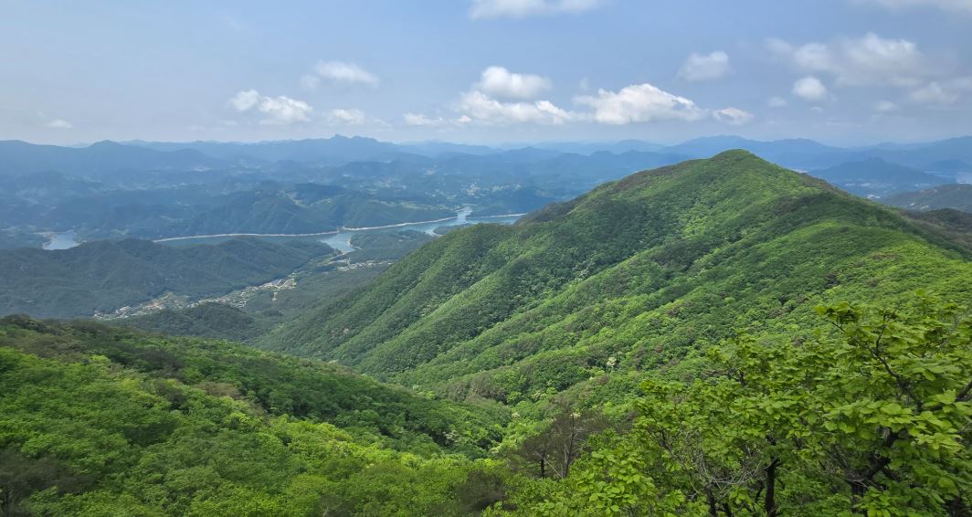 금수산