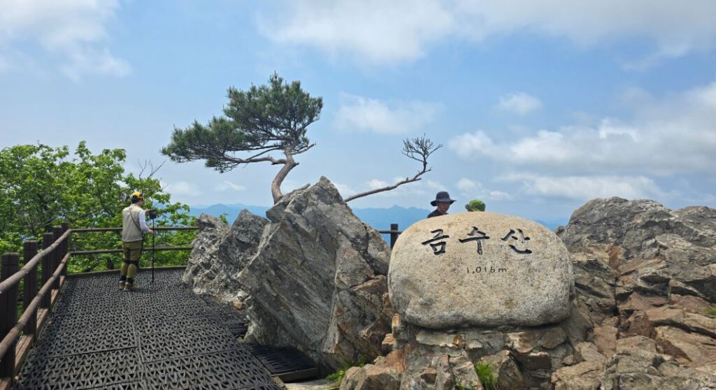 금수산