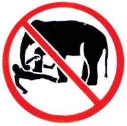 signage