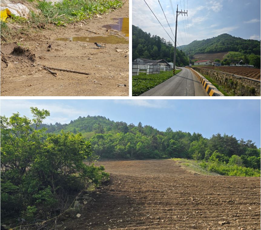Deokhangsan