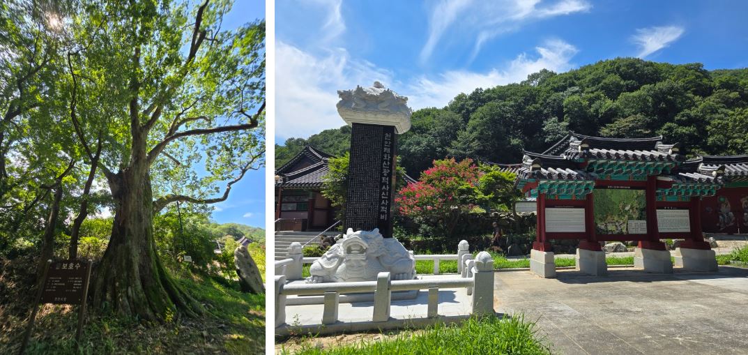 Gwangdeok