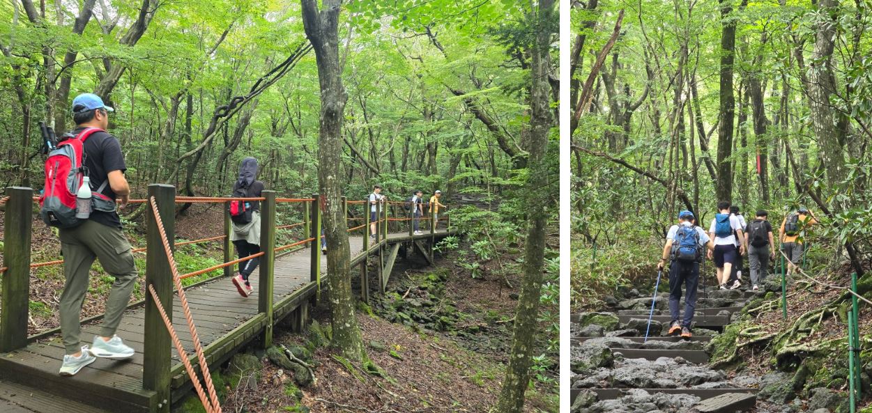 Jeju trip