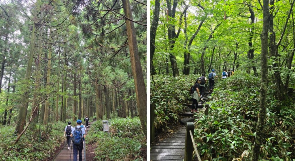 Jeju trip