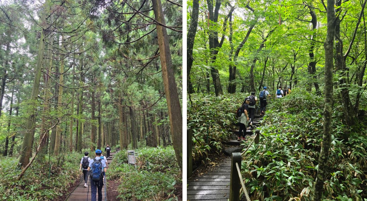 Jeju trip