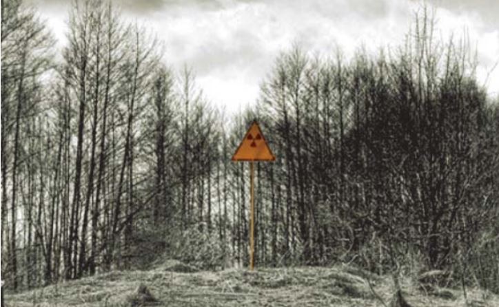 The Light and Shadow of Nuclear Energy