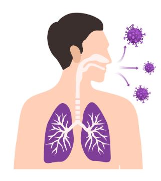 Childhood Vaccinations