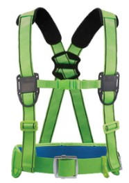 belt-type harnesses